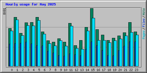 Hourly usage for May 2025