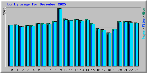 Hourly usage for December 2025