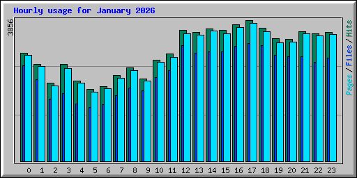 Hourly usage for January 2026