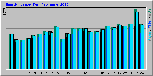Hourly usage for February 2026